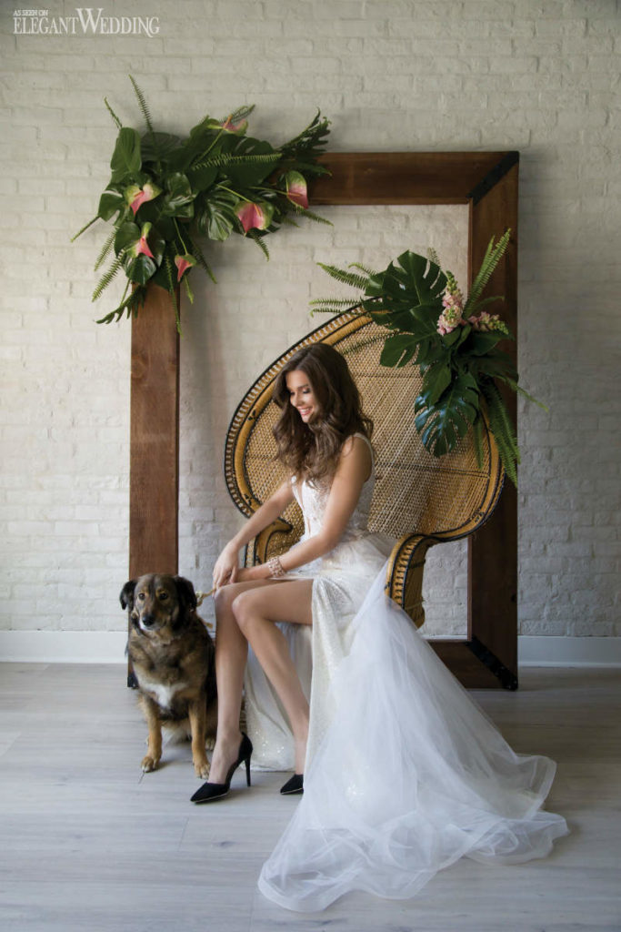 Adorable Dogs in Weddings