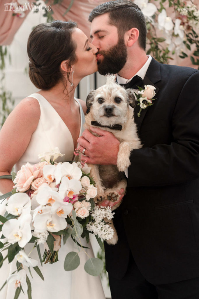 incorporate your puppy in your wedding