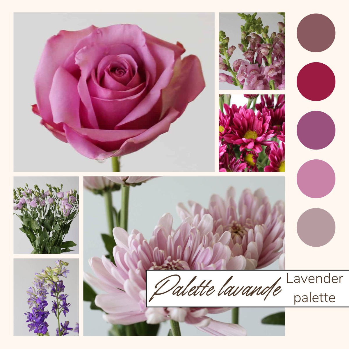 FLEUR EN VRAC FLOWERS